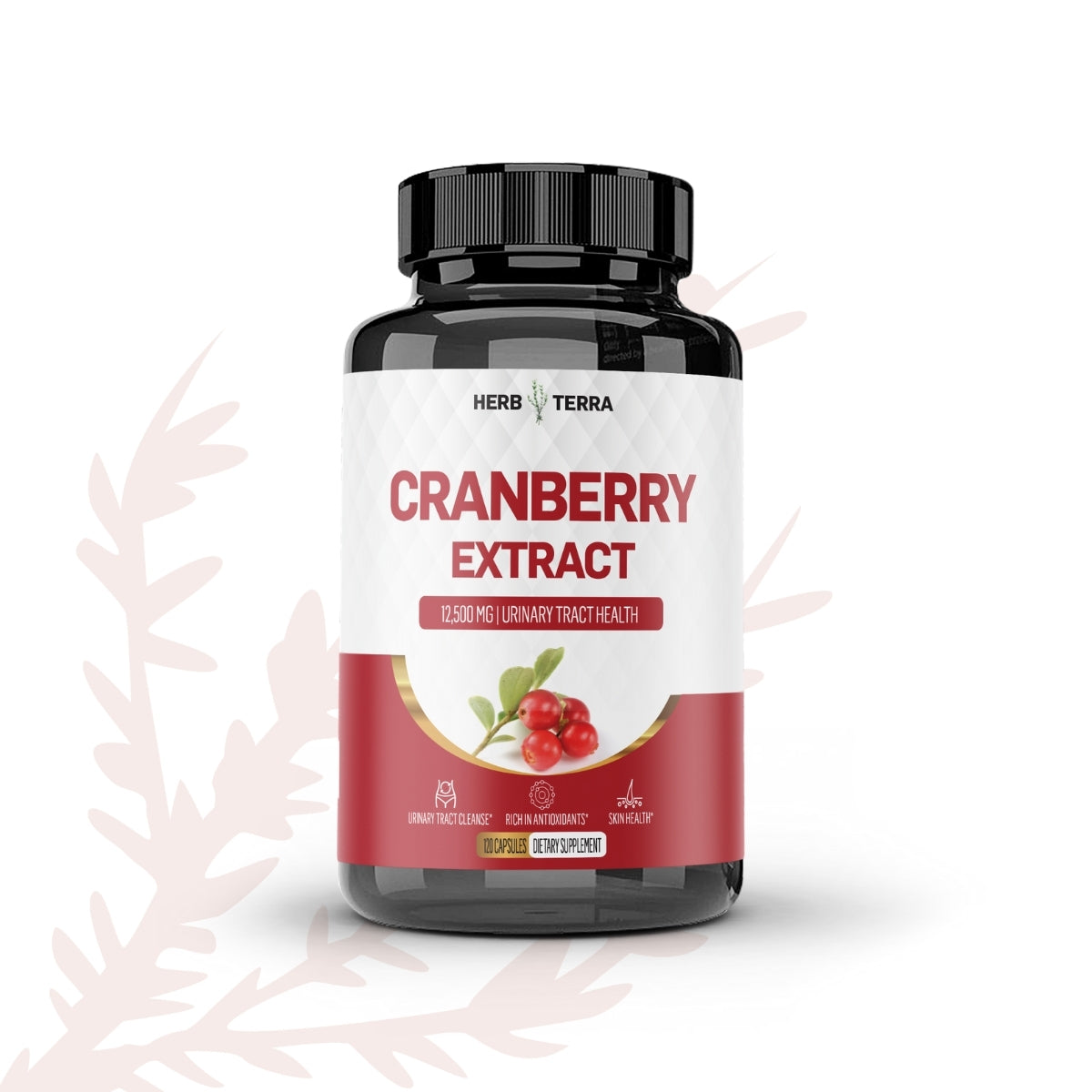 Cranberry Extract | Urinary Health | 120 Capsules