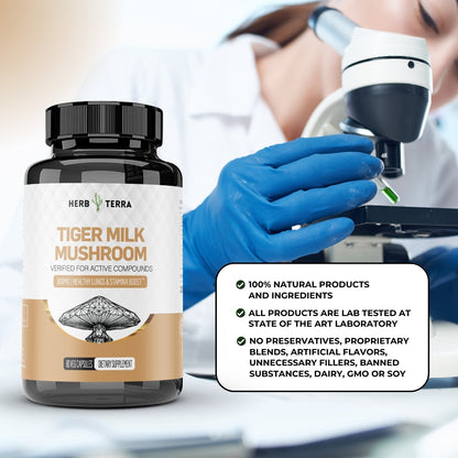 Tiger Milk Mushroom 虎乳芝 | 80 Capsules | (Lignosus Rhino)