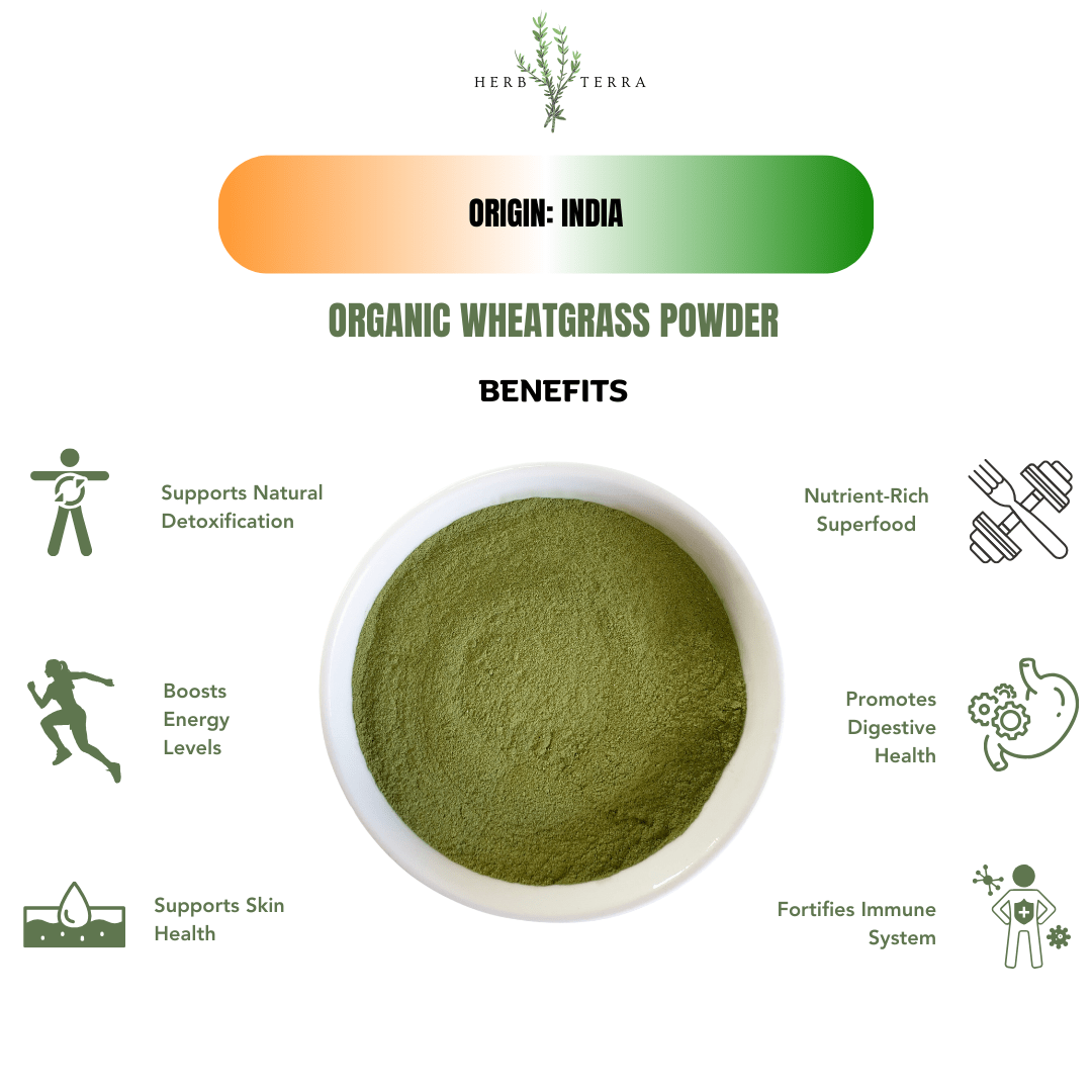 Organic Wheatgrass Powder 100g | Nutrient Powerhouse | Optimized Detox